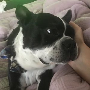 Meet your Posher, Andrea